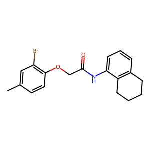 2-(2-bromo-4-methylphenoxy)-N-(5,6,7,8-tetrahydronaphthalen-1-yl)acetamide structure