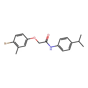 2-(4-bromo-3-methylphenoxy)-N-(4-propan-2-ylphenyl)acetamide structure
