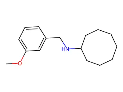 N-(4-甲氧基苄基)环辛胺 structure