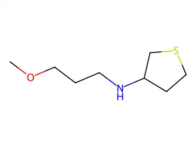 N-(3-Methoxypropyl)tetrahydrothiophen-3-amine structure
