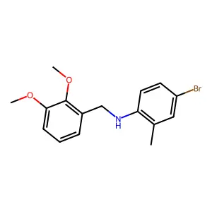 4-bromo-N-(2,3-dimethoxybenzyl)-2-methylaniline structure