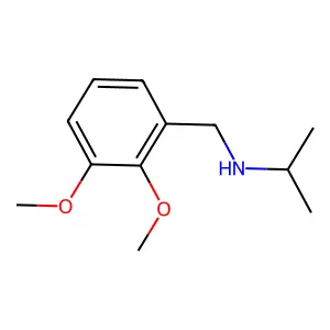 N-[(2,3-dimethoxyphenyl)methyl]propan-2-amine structure