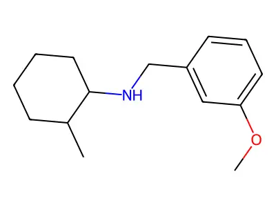 N-[(3-methoxyphenyl)methyl]-2-methylcyclohexan-1-amine structure