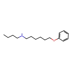 N-butyl-6-phenoxyhexan-1-amine structure