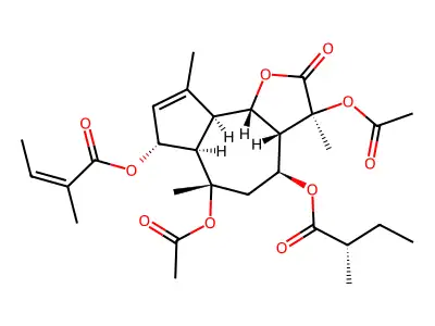 Archangelolide structure