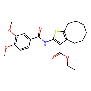 ETHYL 2-(3,4-DIMETHOXYBENZAMIDO)-4H,5H,6H,7H,8H,9H-CYCLOOCTA[B]THIOPHENE-3-CARBOXYLATE structure