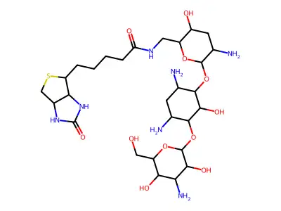 Biotinyl Tobramycin Amide structure