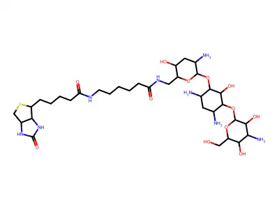 Biotinamidocaproate Tobramycin Amide structure