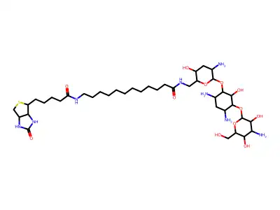 N-Biotinyl-12-aminododecanoyltobramycin Amide structure