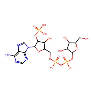 ADP-ribose 2'-phosphate structure