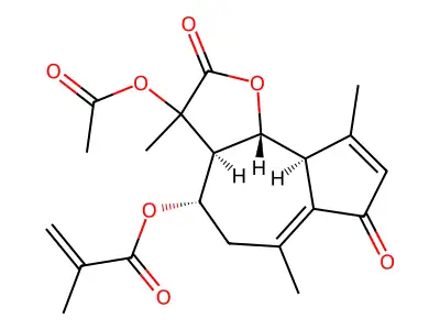 Olgin structure