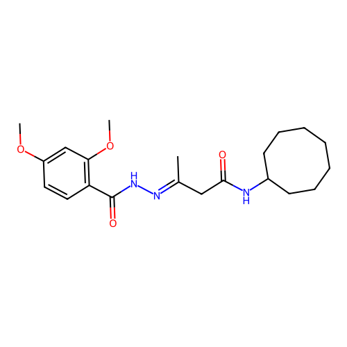 (3E)-N-cyclooctyl-3-{2-[(2,4-dimethoxyphenyl)carbonyl]hydrazinylidene}butanamide structure