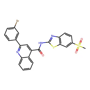 BIM-0028815.P001 structure