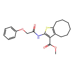methyl 2-[(phenoxyacetyl)amino]-4,5,6,7,8,9-hexahydrocycloocta[b]thiophene-3-carboxylate structure