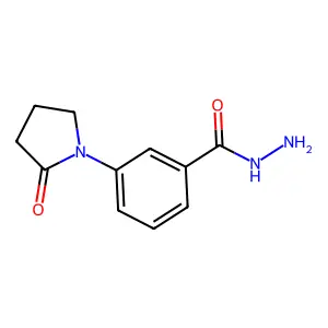 3-(2-Oxopyrrolidin-1-yl)benzohydrazide structure