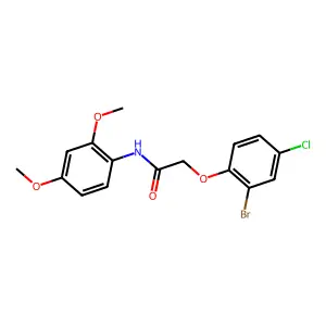 2-(2-bromo-4-chlorophenoxy)-N-(2,4-dimethoxyphenyl)acetamide structure