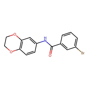 3-bromo-N-(2,3-dihydro-1,4-benzodioxin-6-yl)benzamide structure