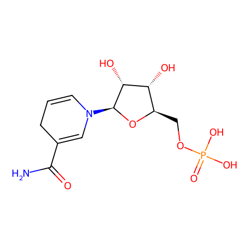 Nmnh structure