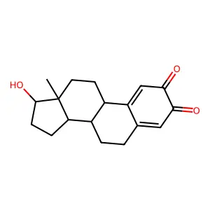 Estradiol-2,3-O-quinone structure