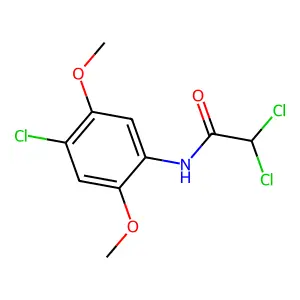2,2-dichloro-N-(4-chloro-2,5-dimethoxyphenyl)acetamide structure