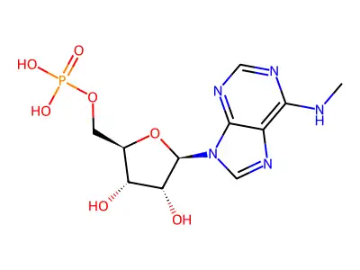 N6-甲基腺苷-5'-单磷酸 structure