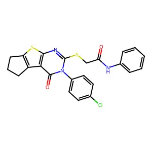 BIM-0037938.P001 structure