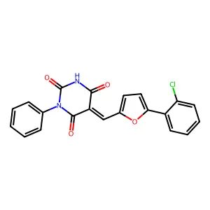 BIM-0040554.P001 structure