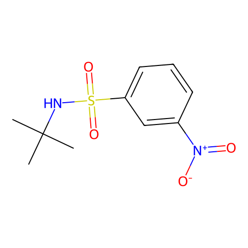 N-t-butyl 3-nitrobenzenesulfonamide structure