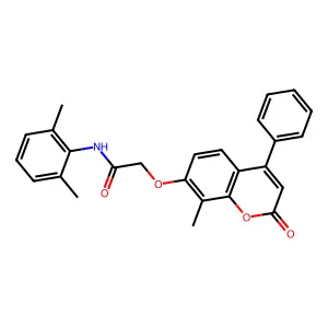 N-(2,6-dimethylphenyl)-2-(8-methyl-2-oxo-4-phenylchromen-7-yl)oxyacetamide structure