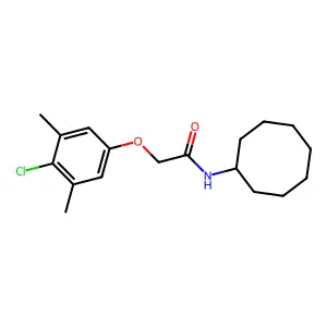 2-(4-chloro-3,5-dimethylphenoxy)-N-cyclooctylacetamide structure