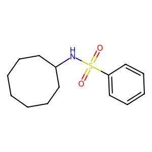 N-cyclooctylbenzenesulfonamide structure