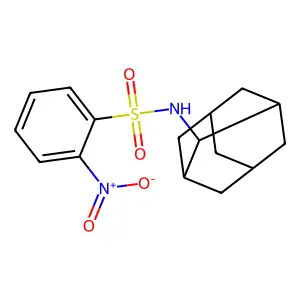 N-(2-adamantyl)-2-nitrobenzenesulfonamide structure