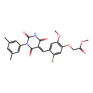 BIM-0013908.P001 structure