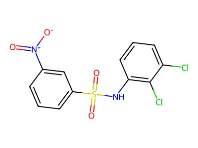 N-(2,3-dichlorophenyl)-3-nitrobenzenesulfonamide structure