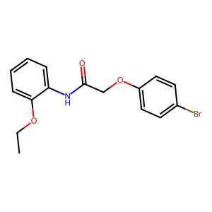 2-(4-bromophenoxy)-N-(2-ethoxyphenyl)acetamide structure