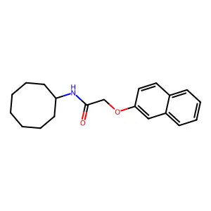 N-cyclooctyl-2-(naphthalen-2-yloxy)acetamide structure