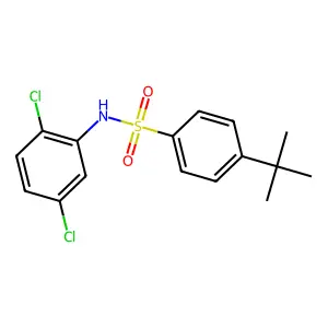 4-tert-butyl-N-(2,5-dichlorophenyl)benzenesulfonamide structure