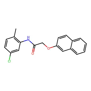 N-(5-chloro-2-methylphenyl)-2-(2-naphthyloxy)acetamide structure