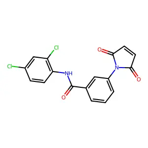 N-(2,4-dichlorophenyl)-3-(2,5-dioxopyrrol-1-yl)benzamide structure