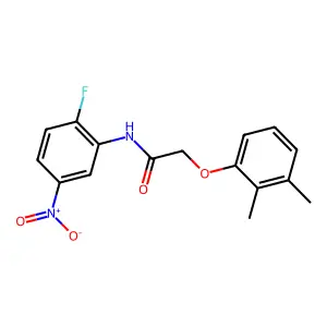 2-(2,3-dimethylphenoxy)-N-(2-fluoro-5-nitrophenyl)acetamide structure