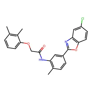 N-[5-(5-chloro-1,3-benzoxazol-2-yl)-2-methylphenyl]-2-(2,3-dimethylphenoxy)acetamide structure