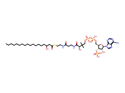 N-丁基-2,4-二硝基吡咯-1-乙酰胺 structure