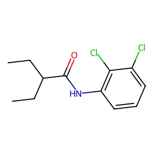 N-(2,3-dichlorophenyl)-2-ethylbutanamide structure