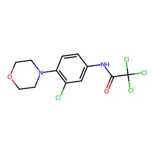 2,2,2-trichloro-N-(3-chloro-4-morpholin-4-ylphenyl)acetamide structure