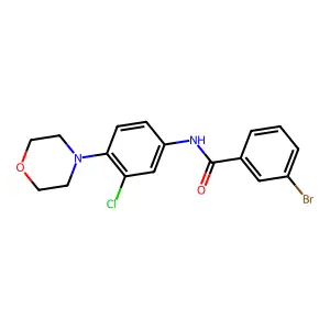 3-bromo-N-[3-chloro-4-(morpholin-4-yl)phenyl]benzamide structure