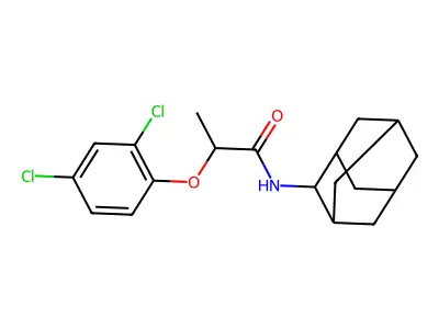 N-(2-adamantyl)-2-(2,4-dichlorophenoxy)propanamide structure