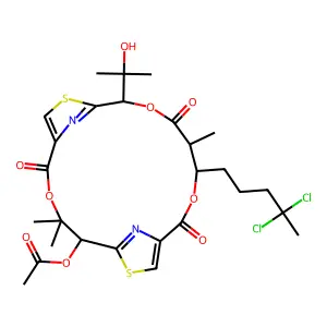 Hectochlorin structure