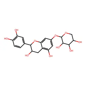 (+)-catechin 7-O-beta-D-xyloside structure