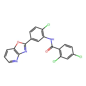 2,4-dichloro-N-[2-chloro-5-([1,3]oxazolo[4,5-b]pyridin-2-yl)phenyl]benzamide structure