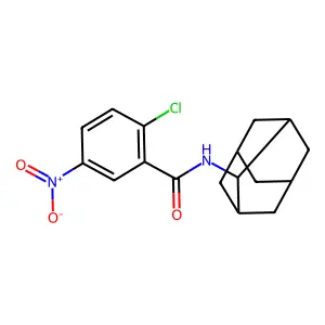 N-(2-adamantyl)-2-chloro-5-nitrobenzamide structure